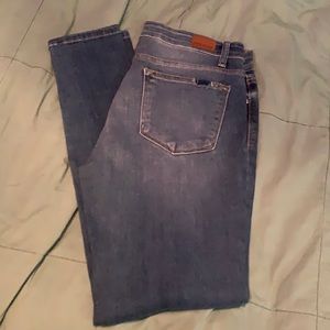 Judy Blue Skinny Jean 13/31